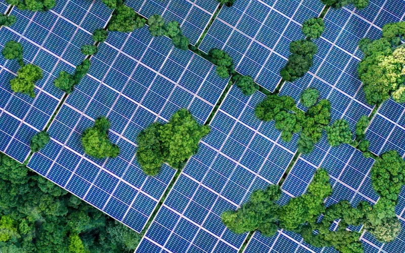 solar_green_image solar_green_image