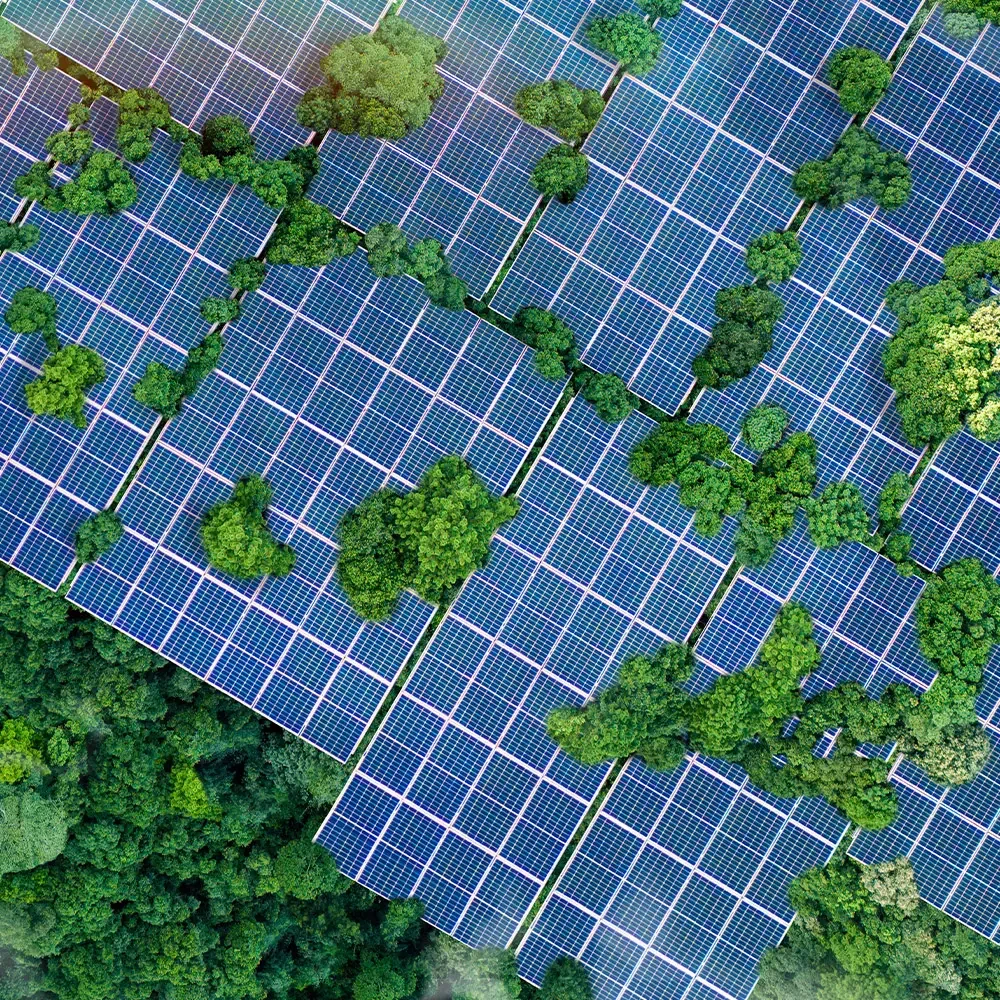 solar_green_image solar_green_image